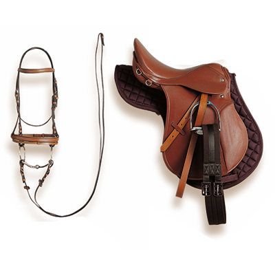 saddle-and-bridle-complete.jpg