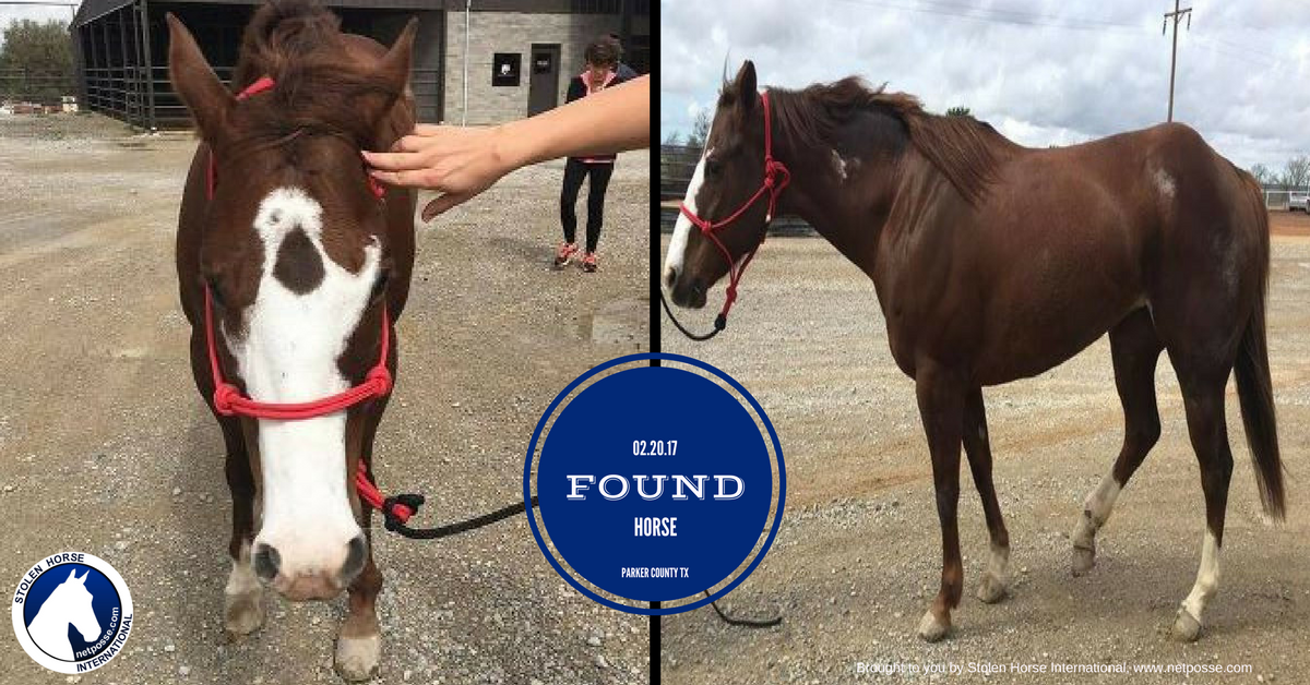 02.20.17FoundHorse.png
