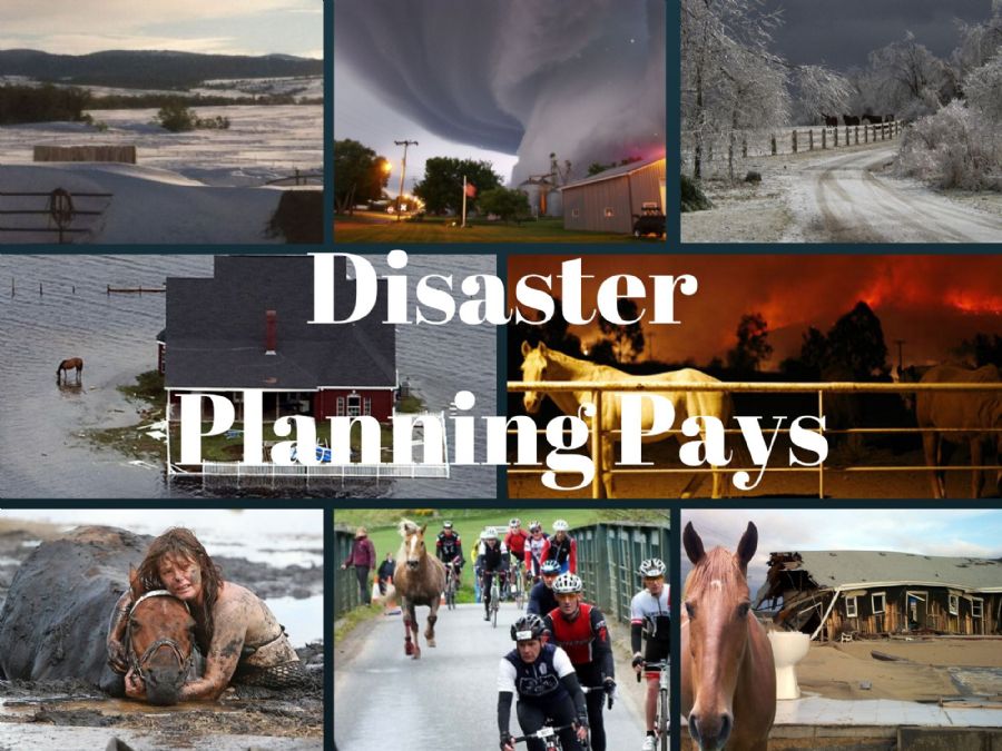 store/news/3802/disaster_planning_pays.jpg