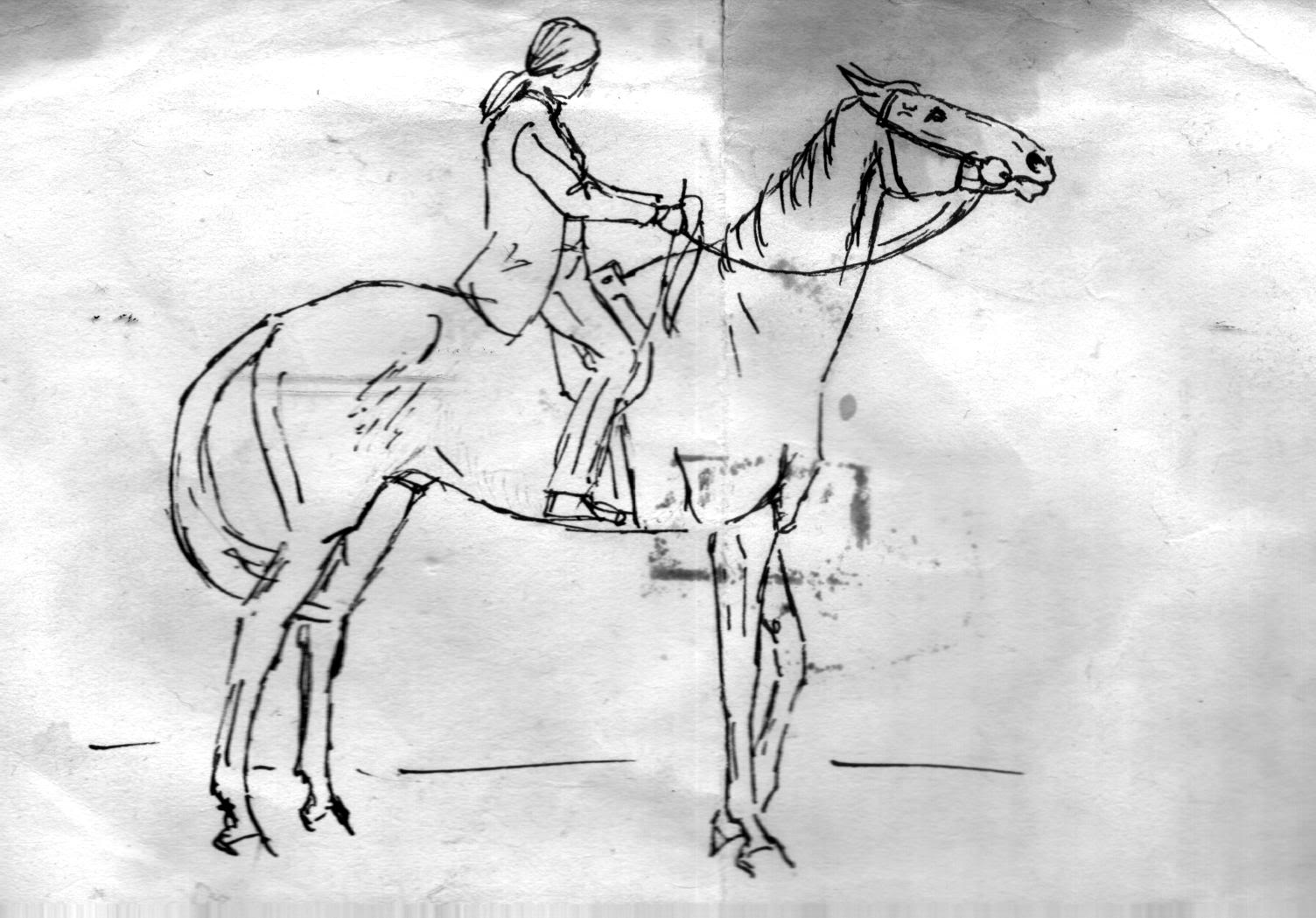 Sketch of Ballymoss drawn by an equine artist who was at the Shrewsbury horse sale in June 1981. ballymosssketch.jpg