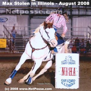 Thanks to wonderful people and a NetPosse flyer Max is home. maxstolenILaug2008rec.jpg