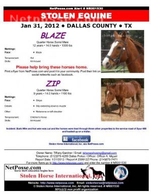 Please print this flyer and post in your community. blazeZipflyersm.jpg