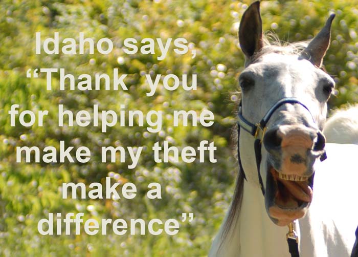 Idaho says, idahosaysthankyourformakingmythef.jpg