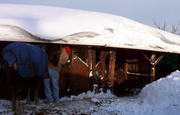 barn-in-snow_987_sherrieymillerE.jpg