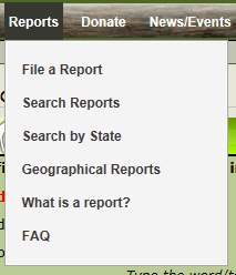searchreports.jpg