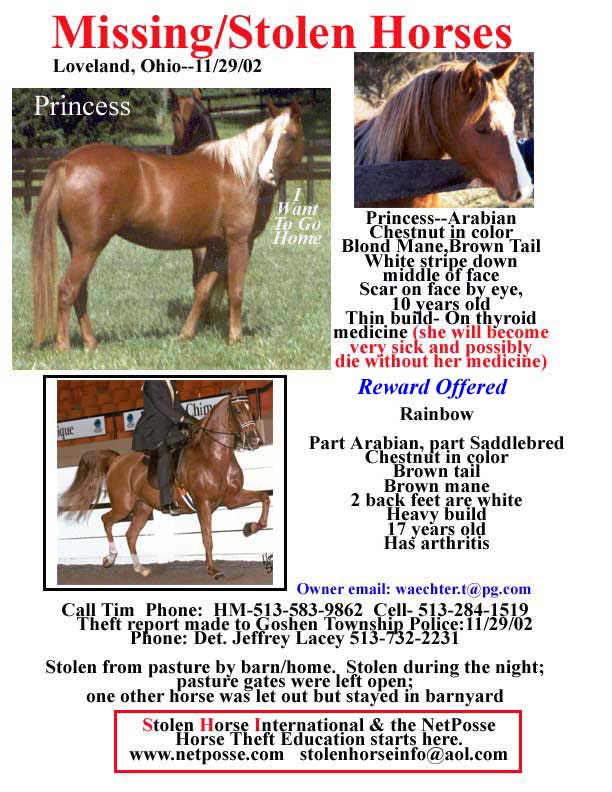 PrincessOHstolen1-REC-Ohio4-FLYER.jpg PrincessOHstolen1-REC-Ohio4-FLYER.jpg