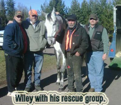 wileyandrescuegroup.jpg wileyandrescuegroup.jpg