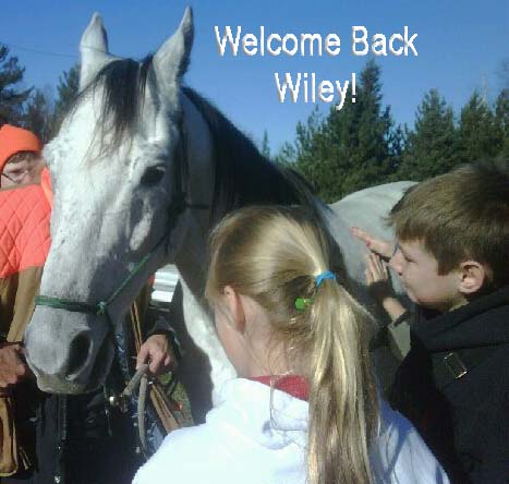 wileywelcomeback.jpg wileywelcomeback.jpg