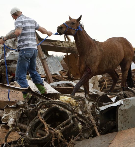 Oklahoma 2013 horseintornado.jpg