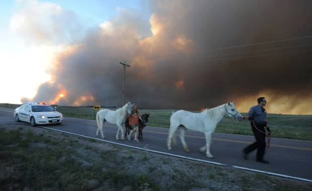 disasterCOleadinghorse.jpg
