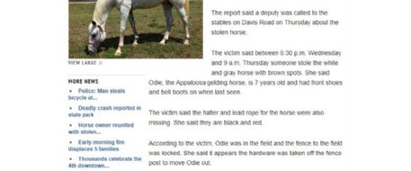 WYFF News - Horse stolen from Upstate stables