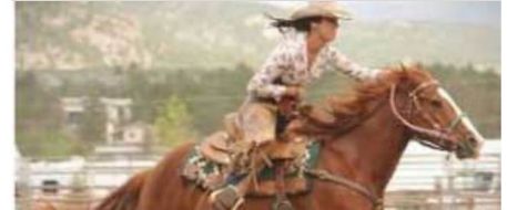News 7 Reports: Rodeo horse missing from Estes Park pasture