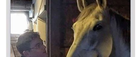 Trainers searching for missing horse sent to Maryland from Florida