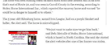 Horse on the loose in Upperco along Carroll, Baltimore line