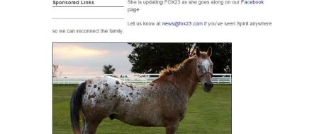 NEWS 23: Blind horse still missing in south Tulsa