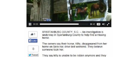 WLOW News 13: Owners Believe Horse Was Stolen