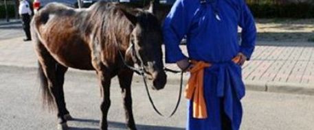 Hungover Chinese man forced to return stolen horse