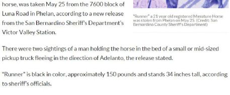 Search Underway for Stolen Miniature Horse in Phelan, CA