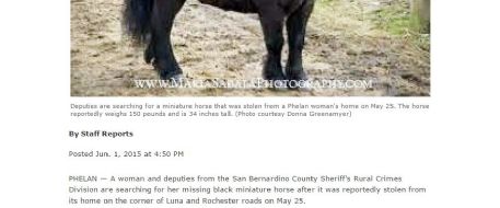 Phelan CA woman searching for stolen miniature horse