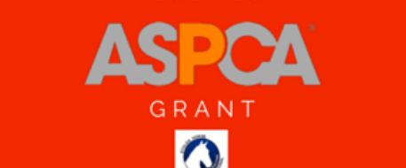 Stolen Horse International Recipient of ASPCA Equine Groups Grant.