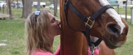 ARTICLE by Examiner.com : After riding accident, horse goes missing
