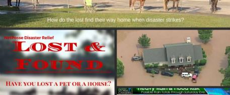 Stolen Horse International Helps Texas Flood Victims