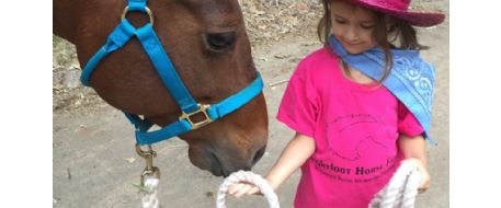 Lessons from Candy (from Endurance Riding))