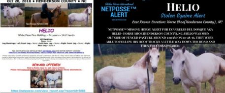 PRESS RELEASE - STOLEN HORSE - Helio - Horse Shoe, Henderson County, NC
