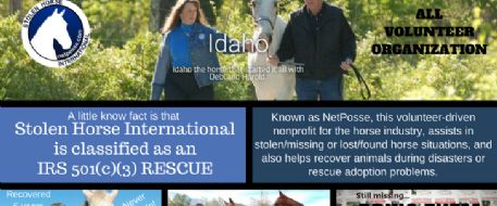 6 Myths About Our Stolen Horse International Rescue