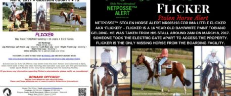 PRESS RELEASE - Stolen Horse - Grayson County Texas 