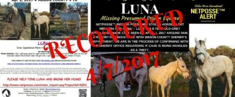 Press Release - STOLEN EQUINE, Luna, RECOVERED - Mason County, Texas