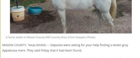 Stolen Mason County horse has been found