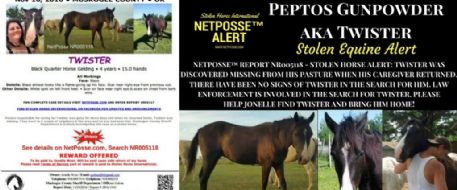 PRESS RELEASE - Stolen Equine - Twister - Oklahoma - UPDATED