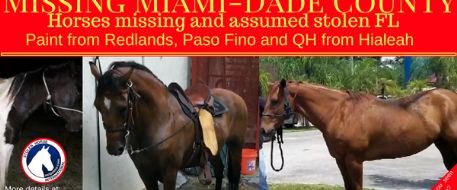 Fence cut and 2 horses stolen from Hialeah ranch in Florida, 1 more missing from Redlands
