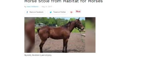 Horse Stole from Habitat for Horses