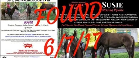 Horse found after throwing owner in Cherokee National Forest