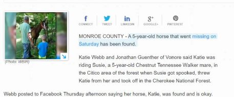 Missing horse found after 5 days on the run in Cherokee National Forest
