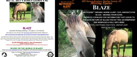 Stanfield woman searches for missing horse by Stanly News and Press