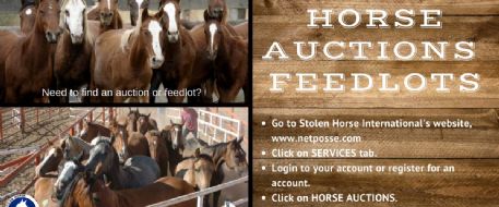 Stolen Horse International Horse Auction Networking Resource - Sales, Feedlots, Kill Pens, Traders