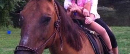 Mercy, the one-eyed horse lost in Virgina is found!