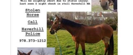 Haverhill police searching for horse thieves 
