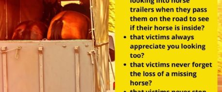 Stolen Horse Remembrance Month For Missing Horses