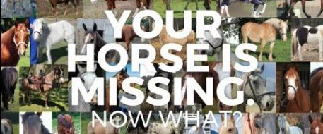 Your Horse is Missing. Now What?